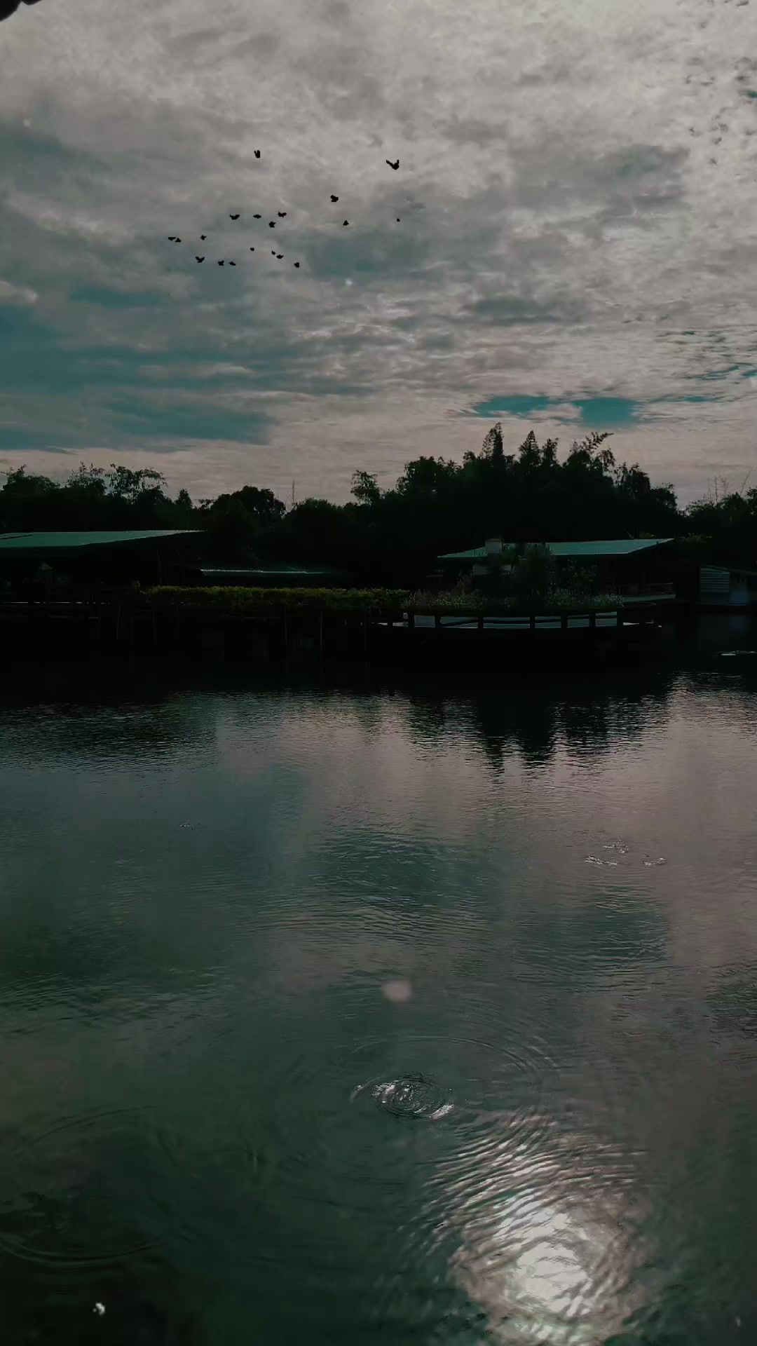 @Mon Panomtong