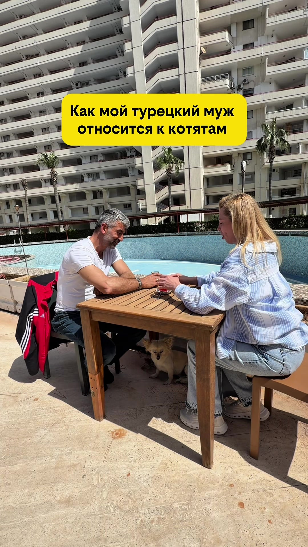 @IRINA MERCAN