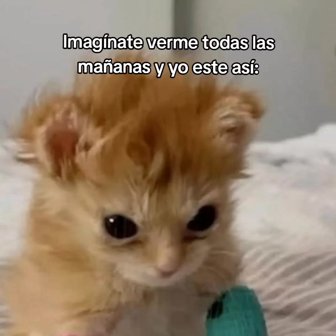 @goodvibessxd