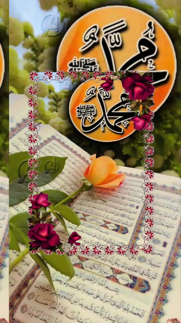@Anwar Hussain