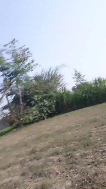 @rahmanalifunny video1122