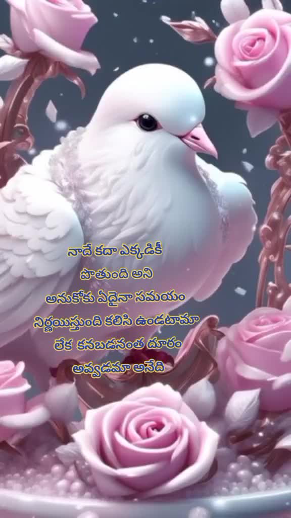 @Bujji