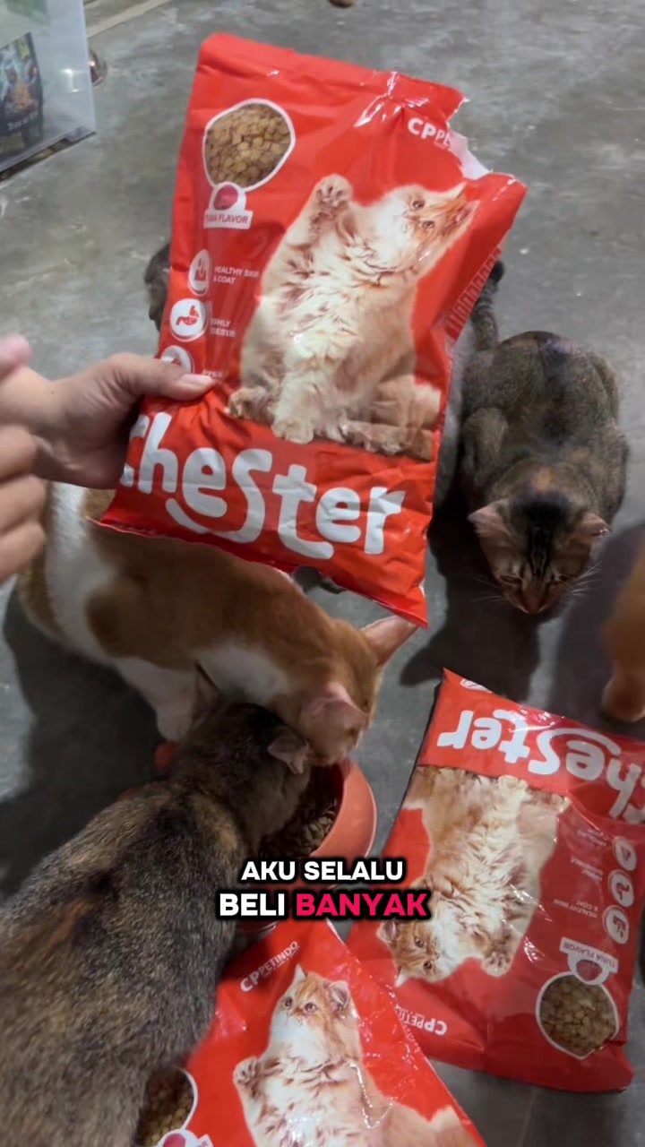 @BUMI ANABUL😺