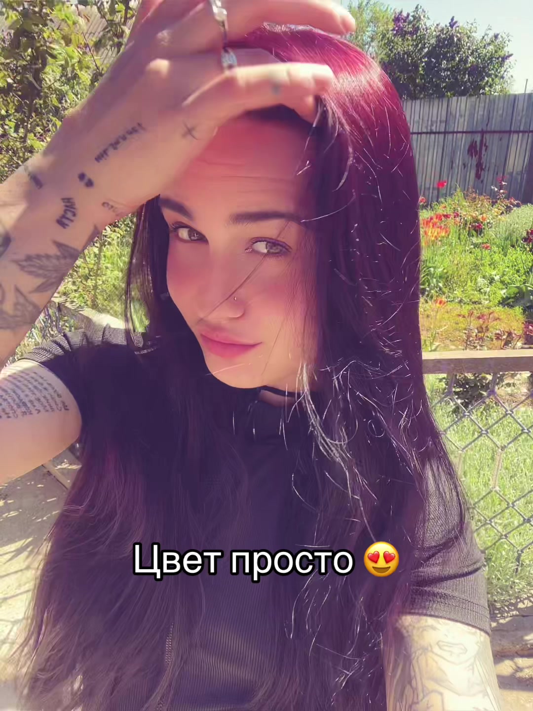 @tancha23_