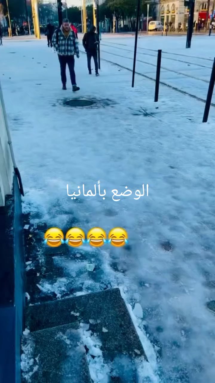 @y.alamer