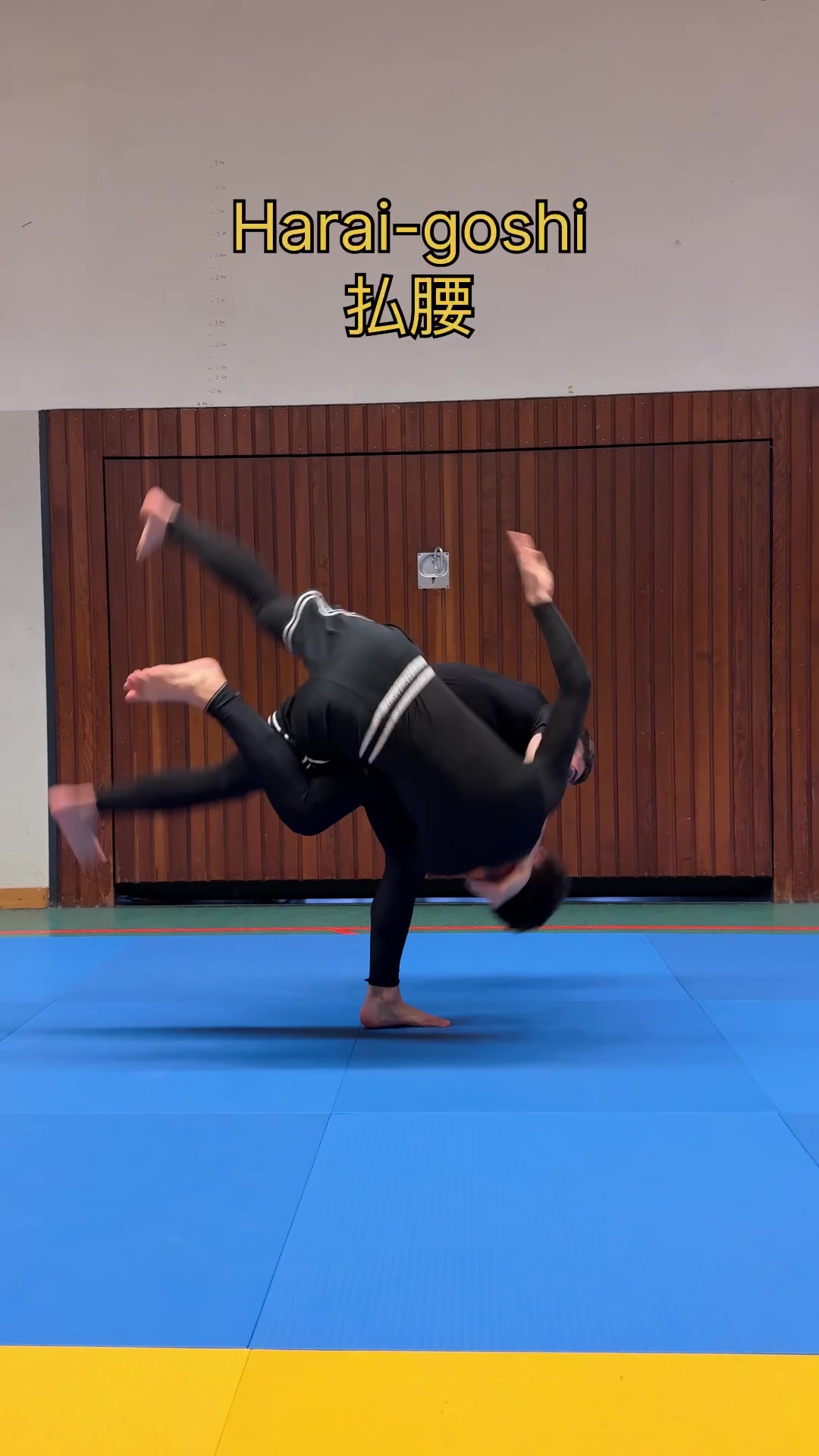 @Cyber-Judoka