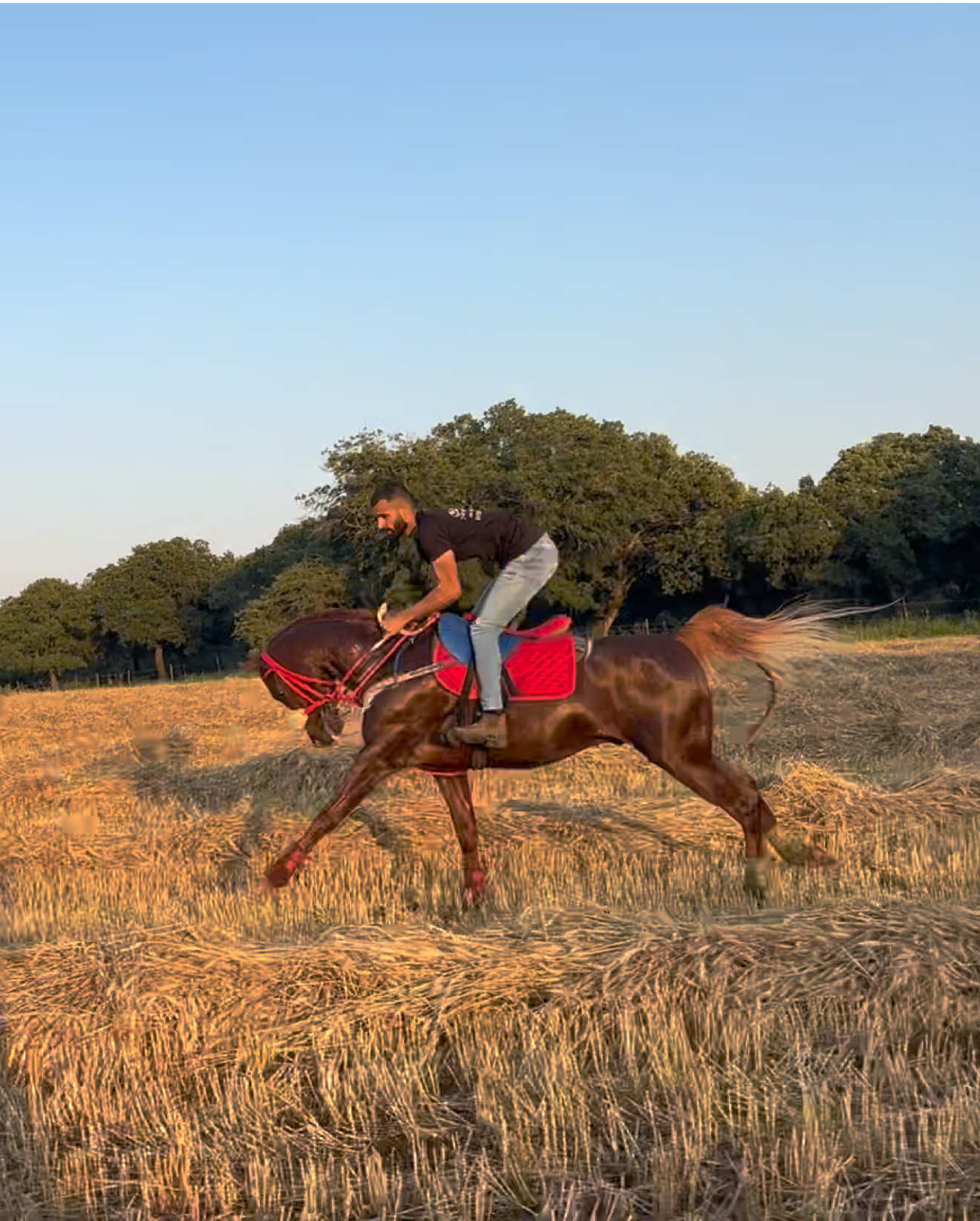 @חוסיין כעביה🐎