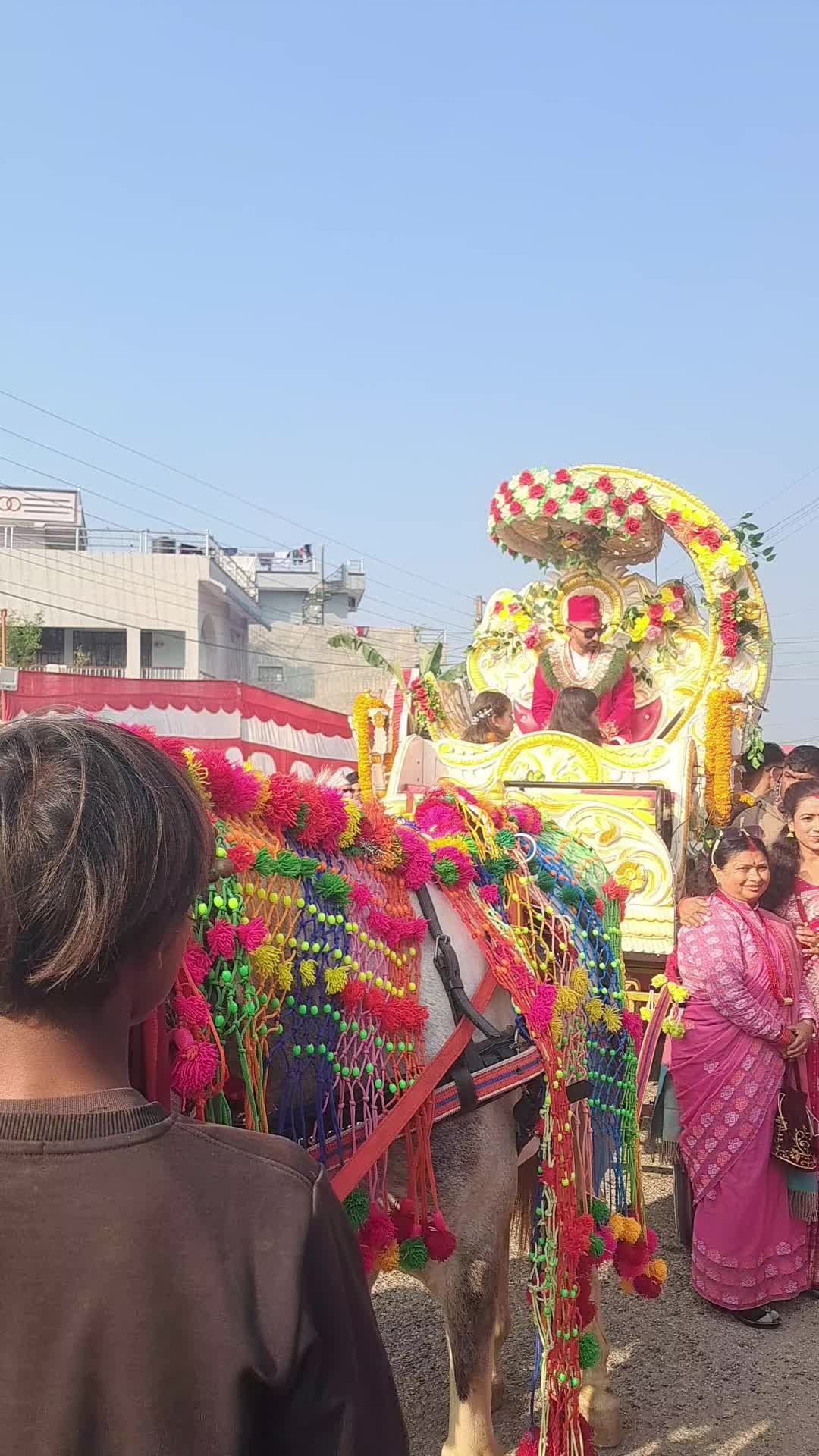@Sita Bhusal