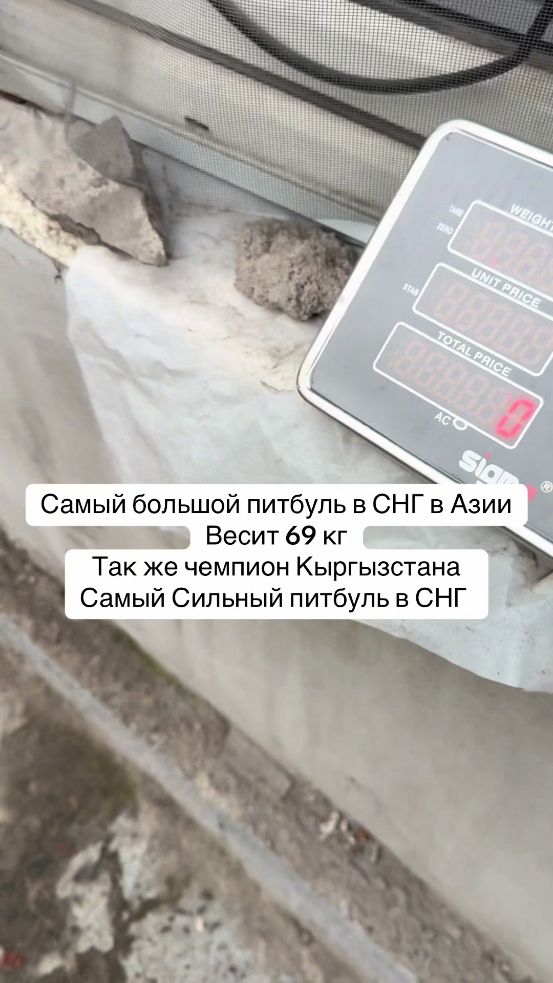 @БАЛУ