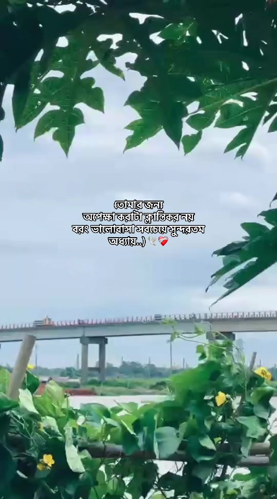 @⚡️Sheikh Rafi Islam💍