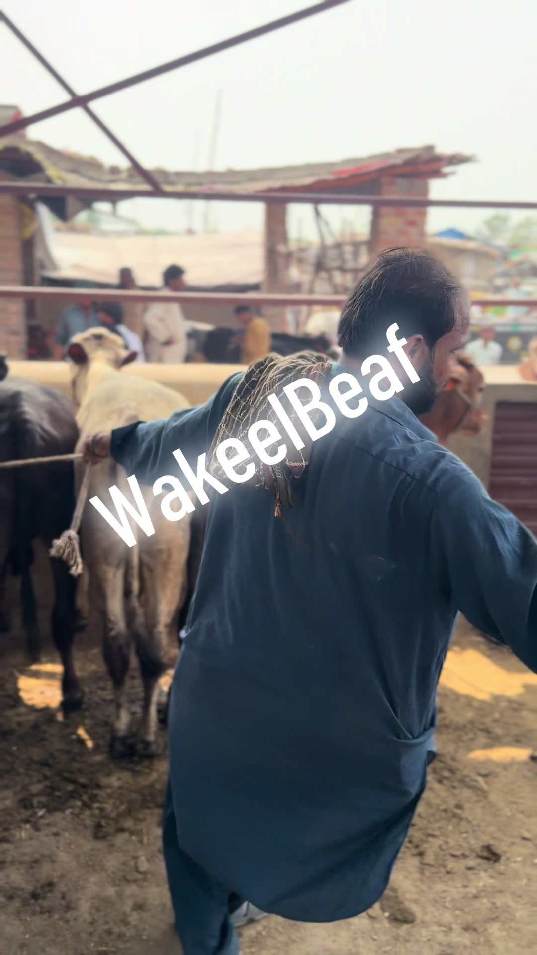 @wakeelbeaf