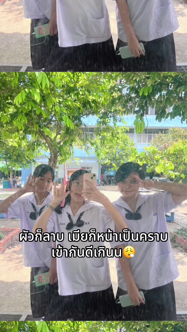 @Khachom🐰