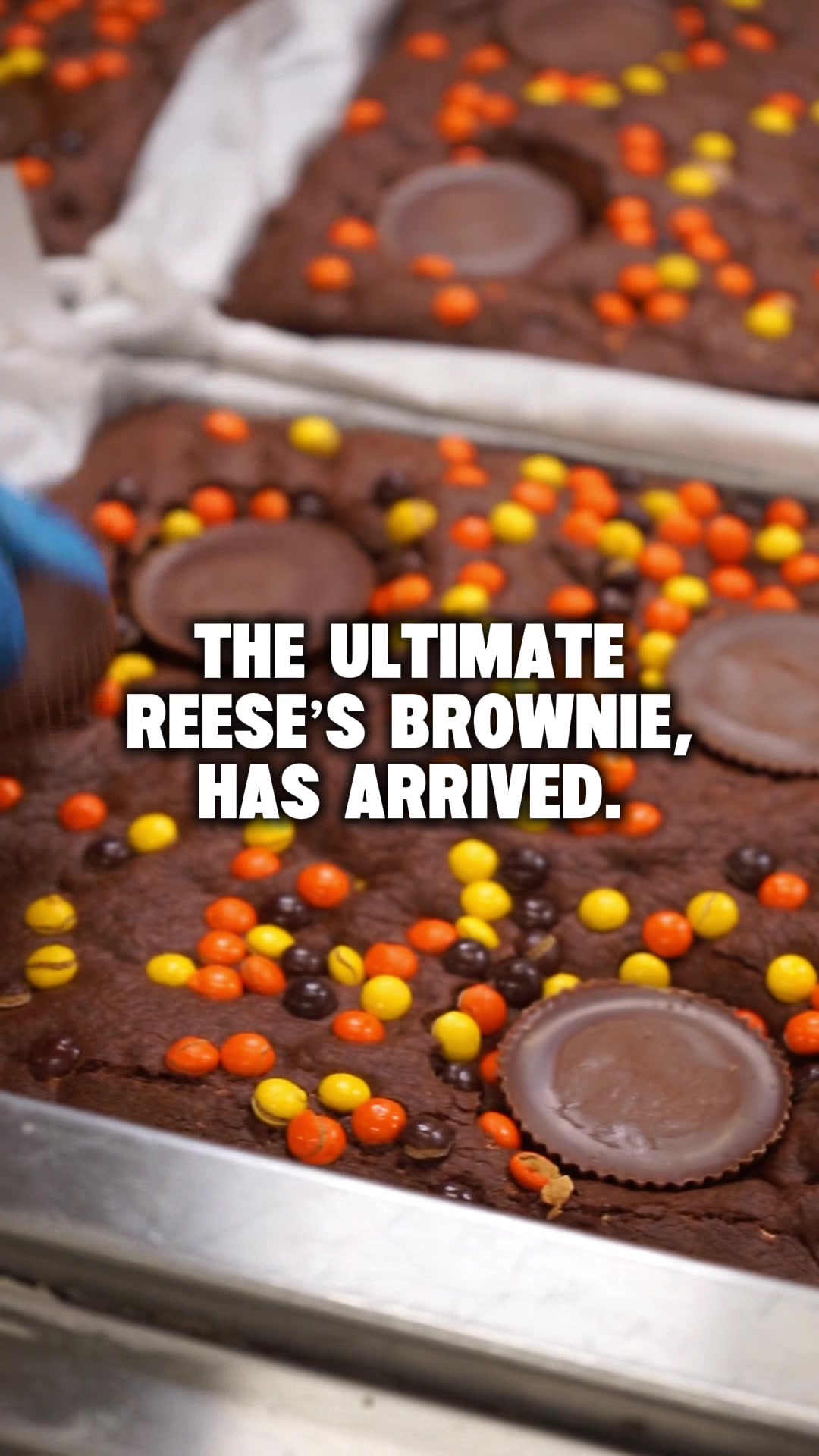 @Buckeye Brownies