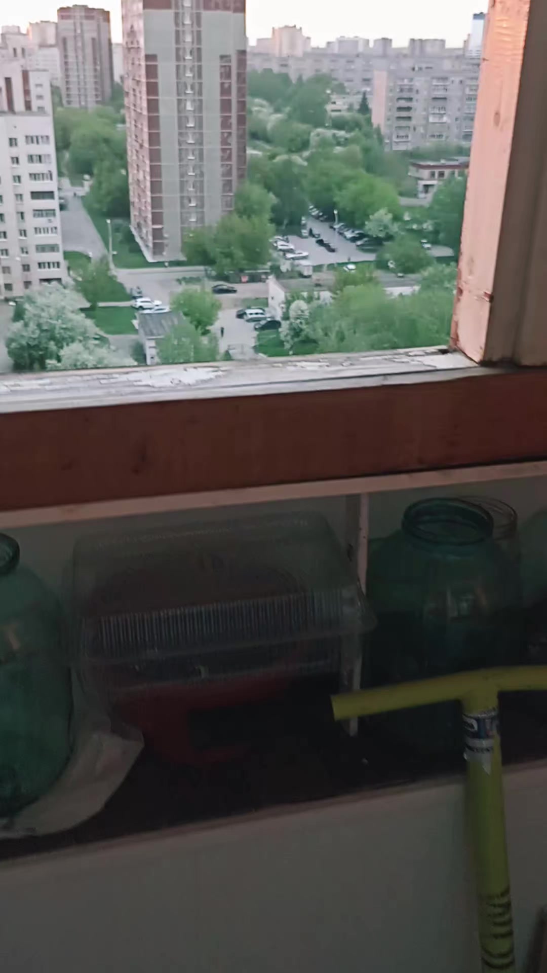 @ханнамонтана