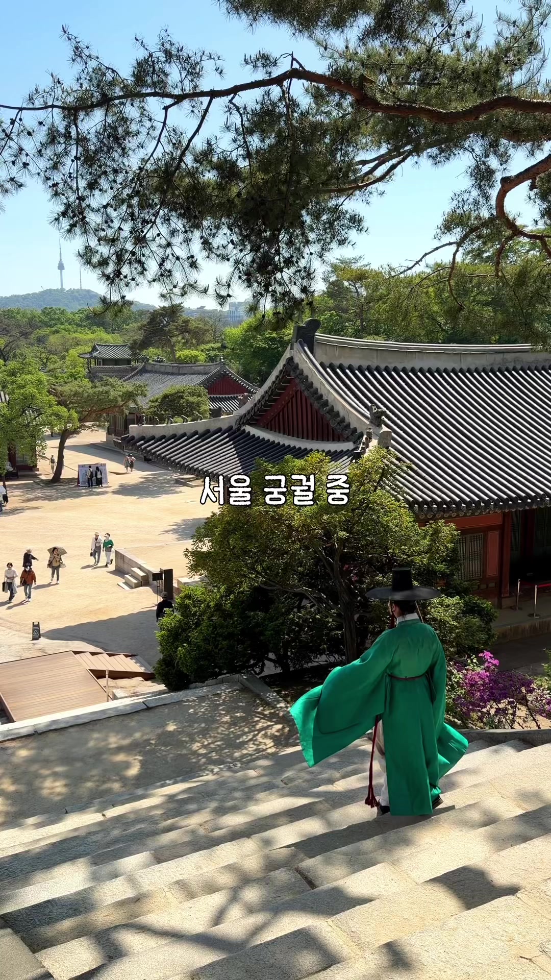 @traveler_jin