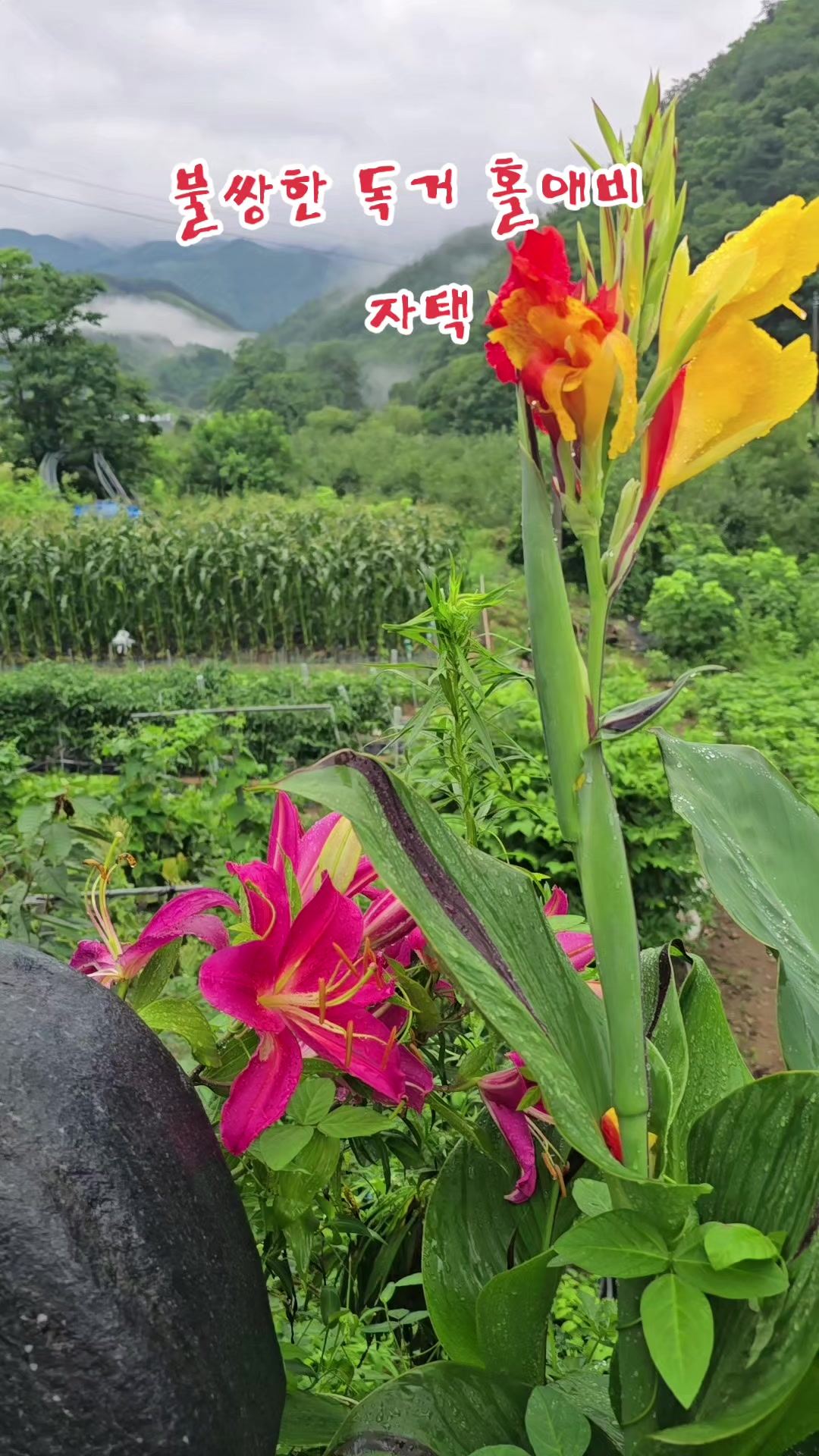 @나는 자연인이다 ~🤪