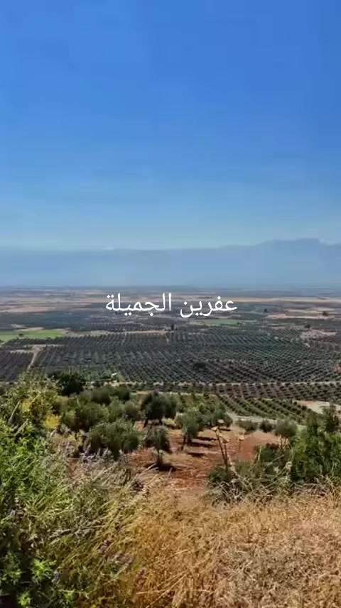 @عبدالرحمن عمر