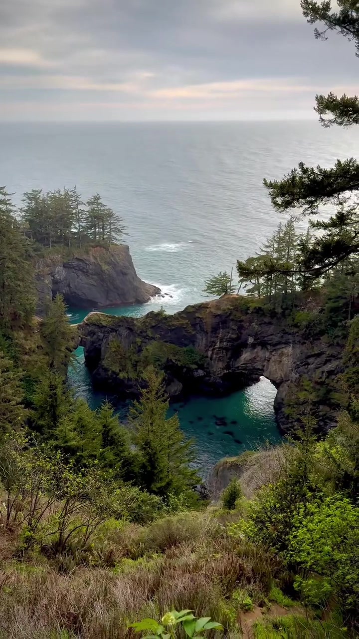 @The Oregon Coast