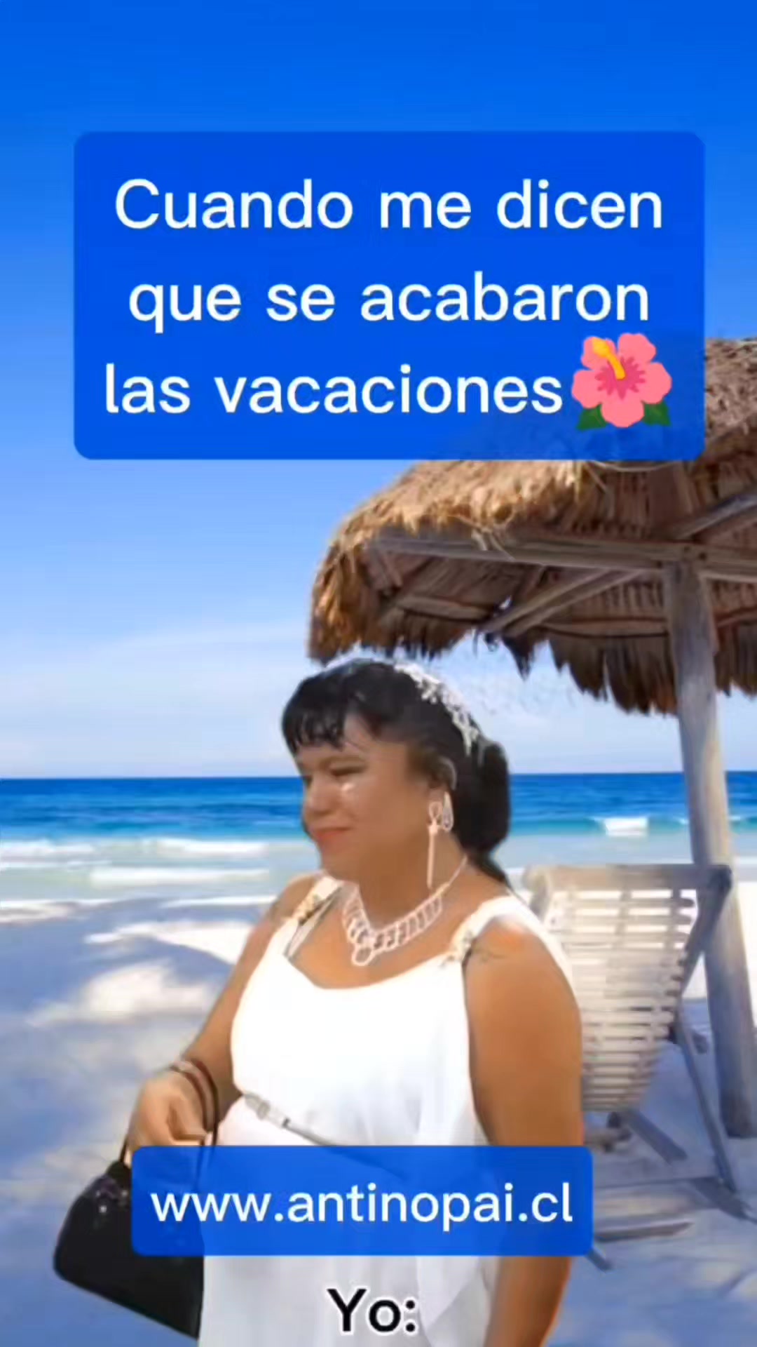 @www.antinopai.cl