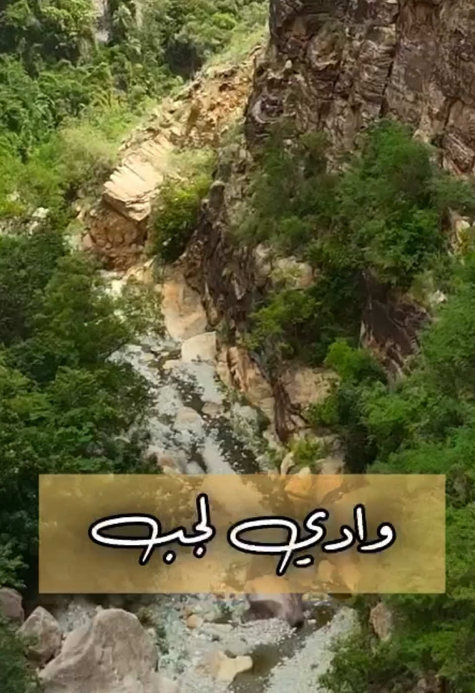 @اجواء المملكة ابوعبدالله 📸