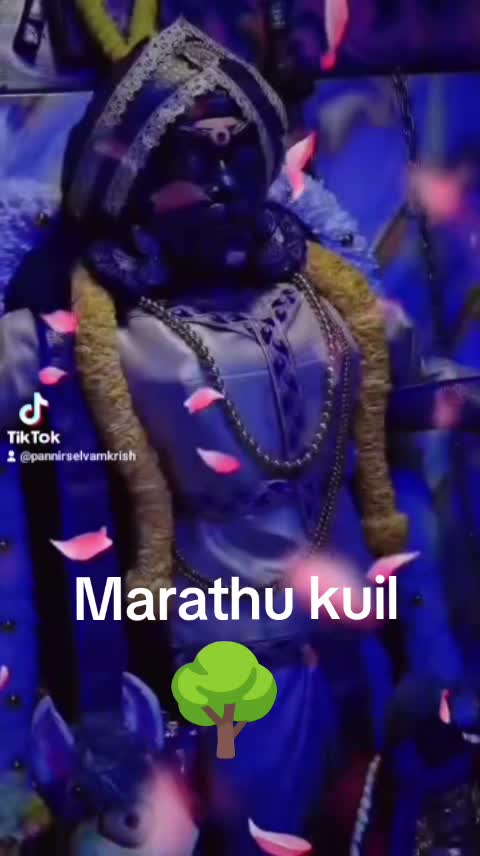 @Pannir Selvam Krishnan