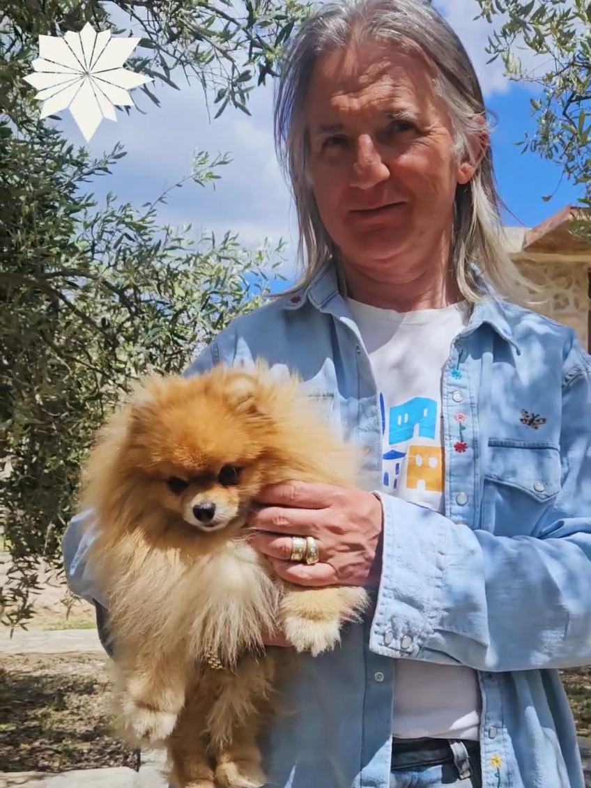 @Braco