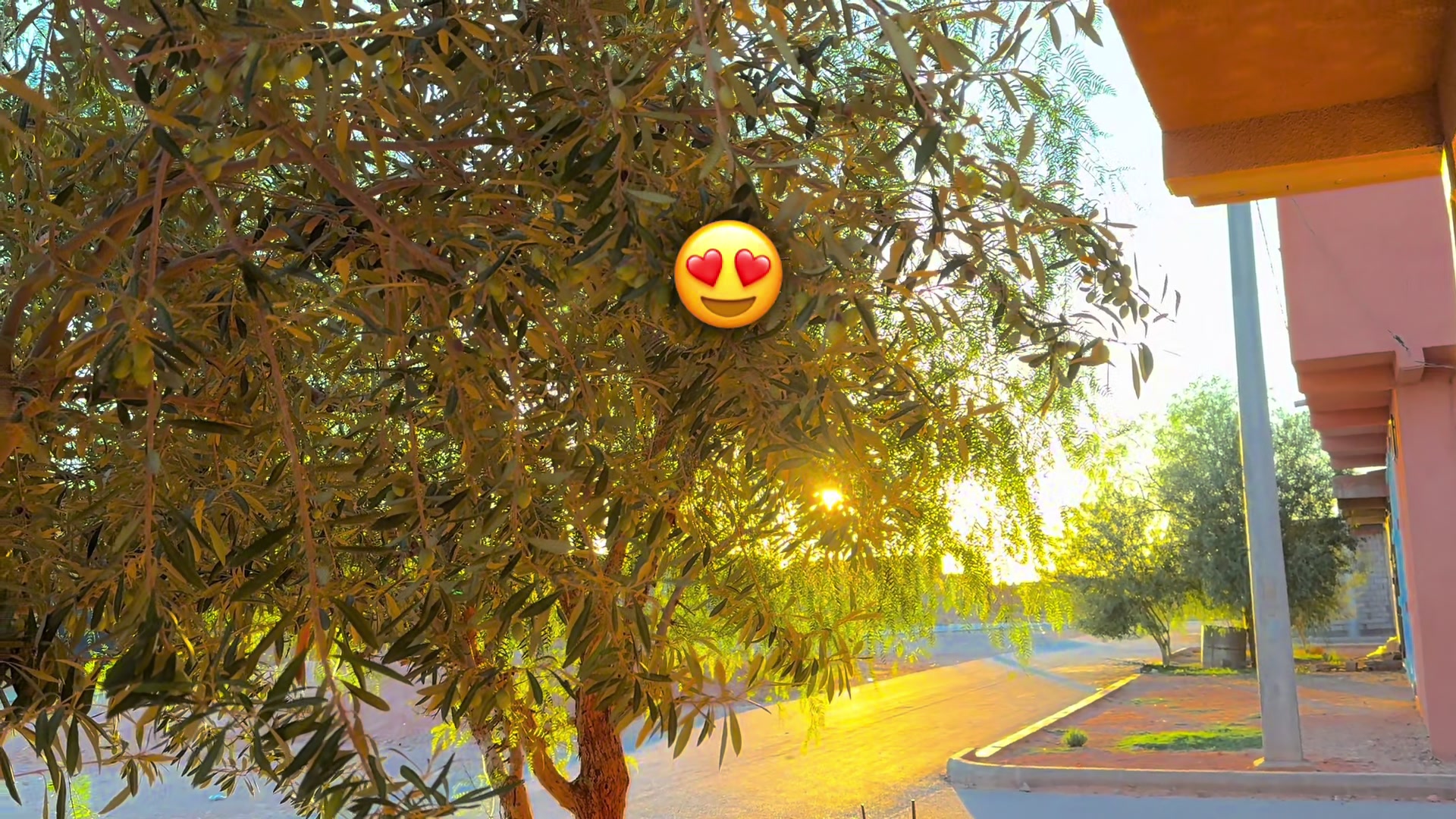 @edit_photo03