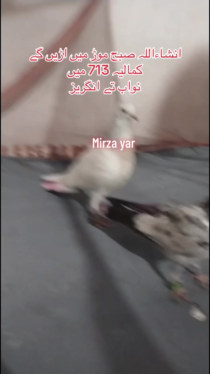 @Mirza Yar Mirza Yar