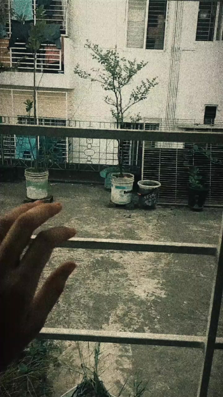 @{🌷🫀.অচেনা মায়া.🌷🫀}
