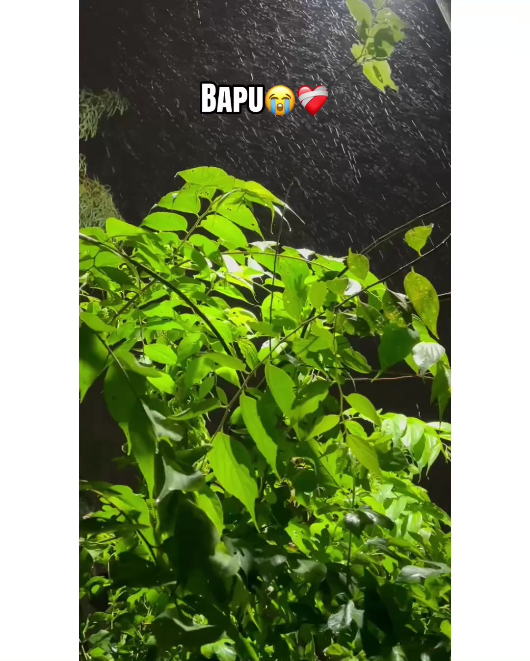 @⚜️𝐊𝐇𝐎𝐊𝐇𝐀𝐑❤️🩹