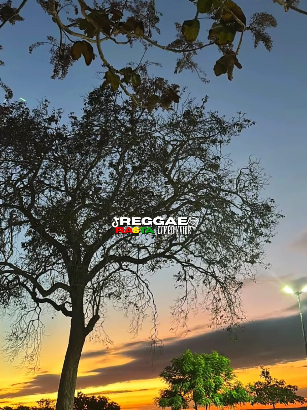 @REGGAE RASTA CM