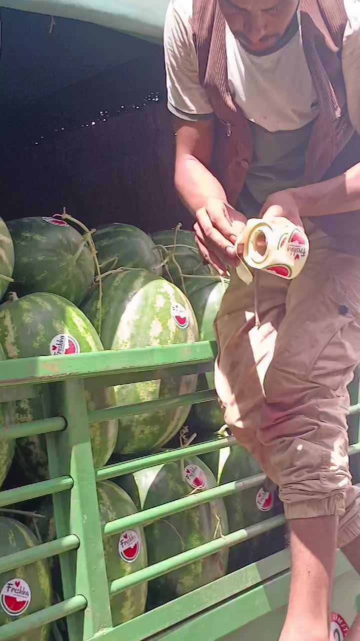 @محمد امين