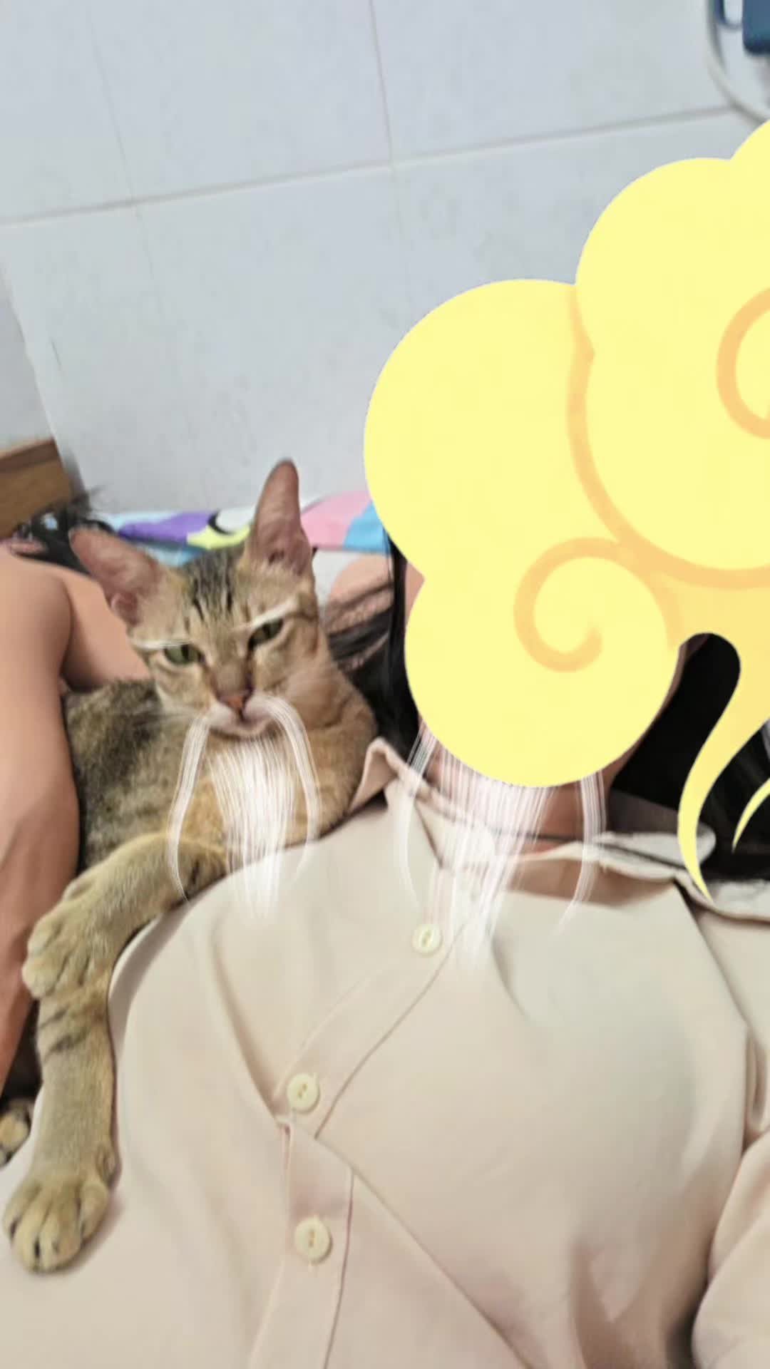 @Khế th&uacute;i
