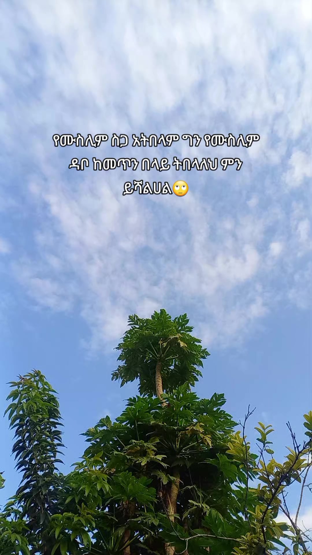 @ᴢᴏʟᴀ✧