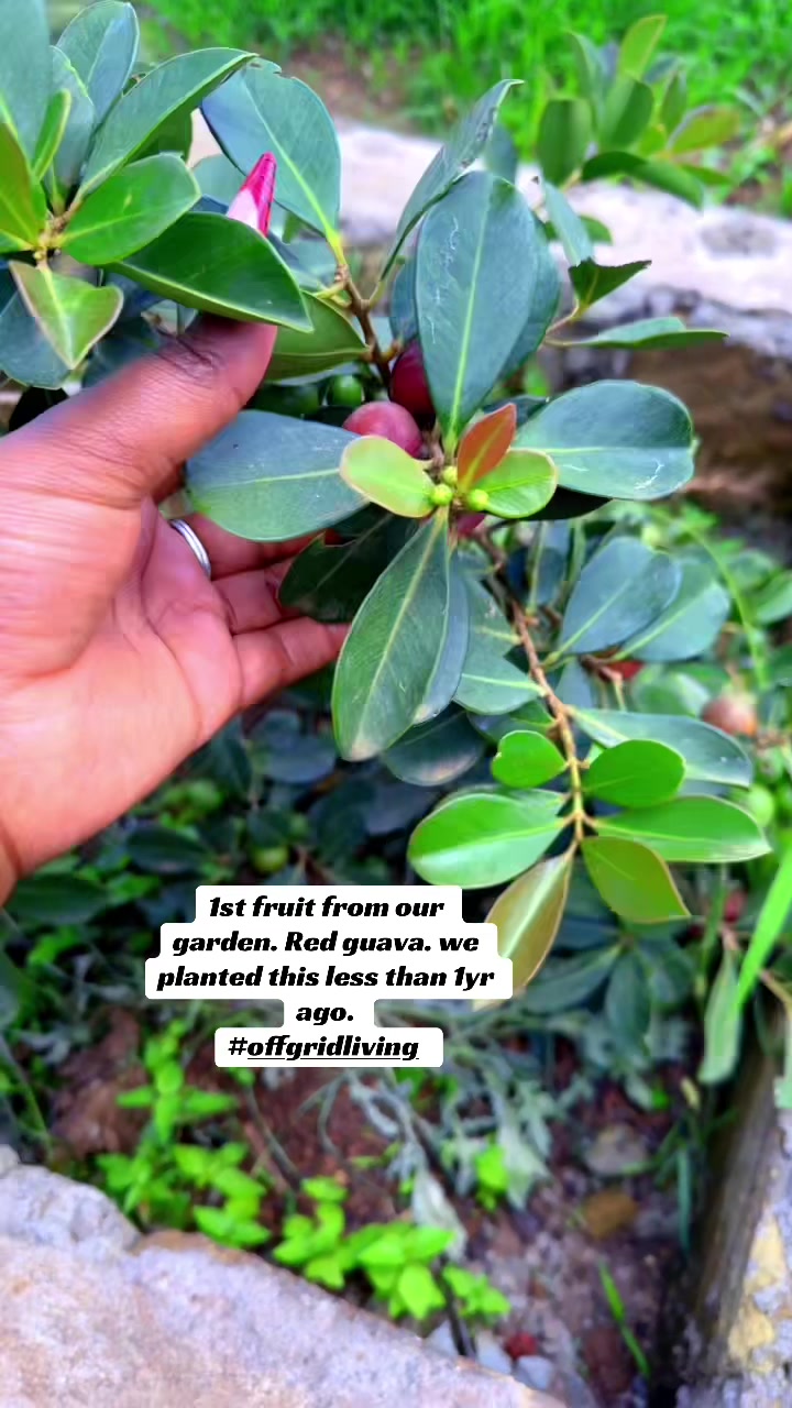 @Trice Wambui