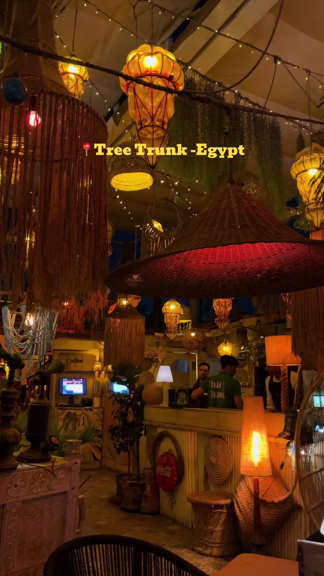 @Tree Trunk