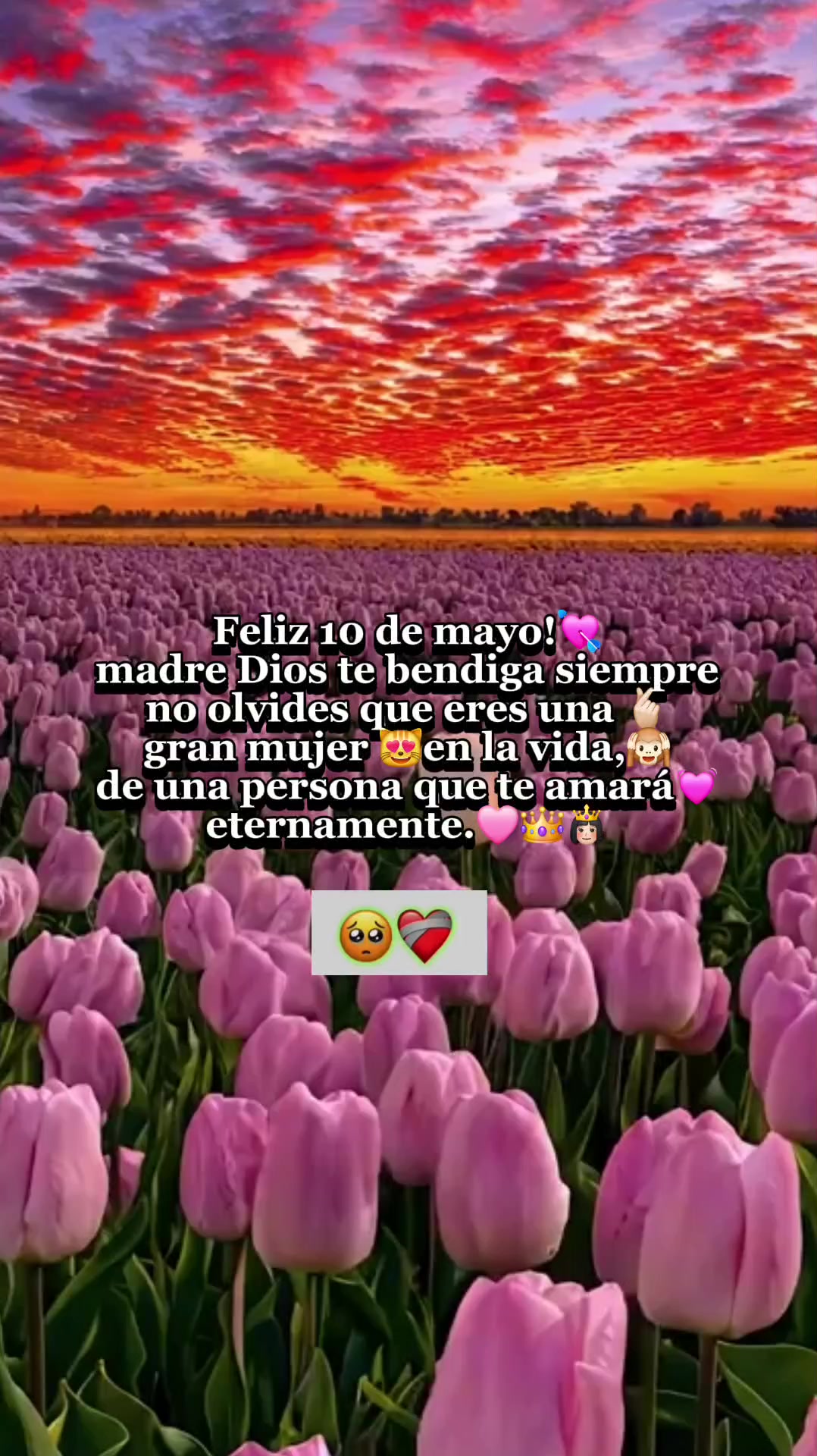 @🅰.PARA DEDICAR<3🐣❤️&zwj;🩹