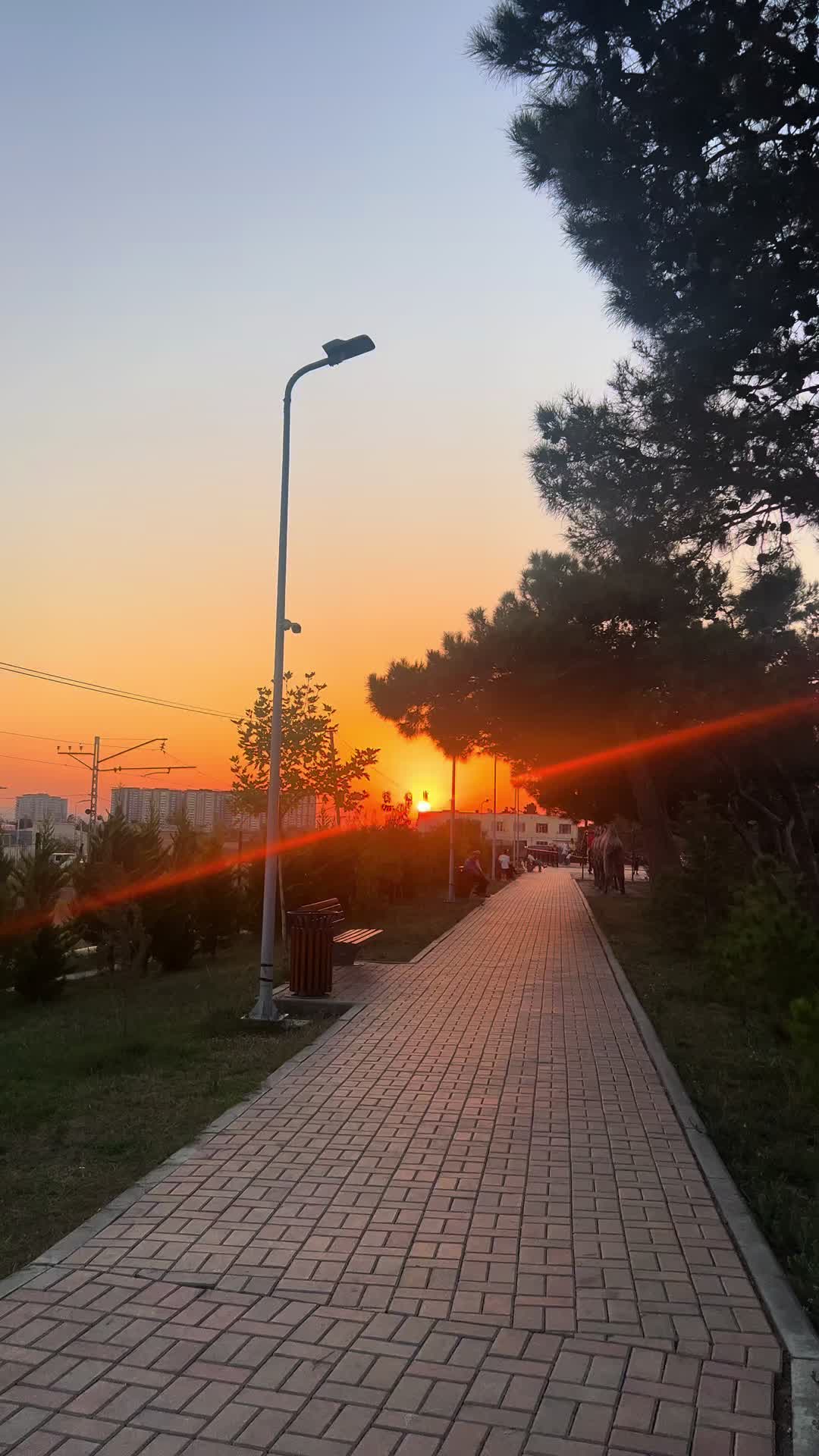 @Ainurashakh🕊️
