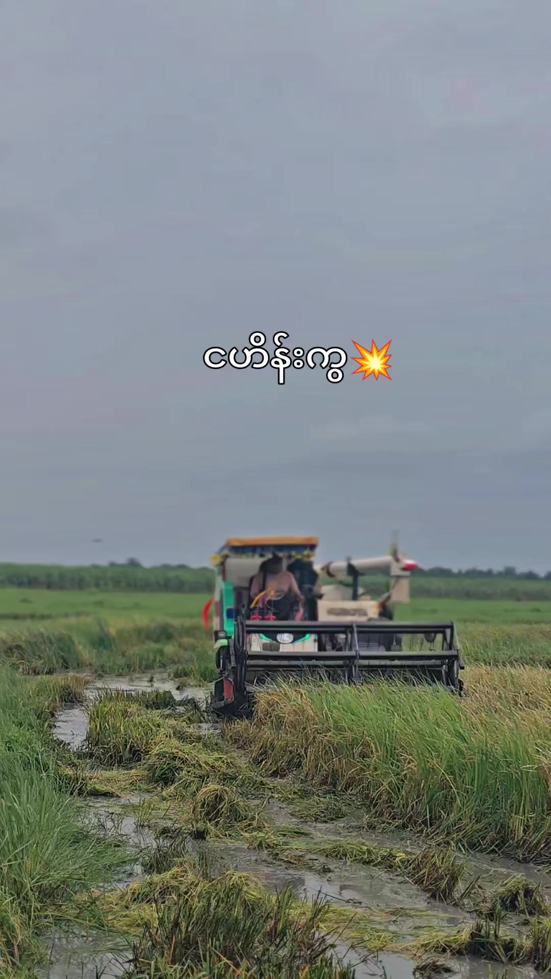 @ငဟိန်း🥀(Officialacc)🥀🍁