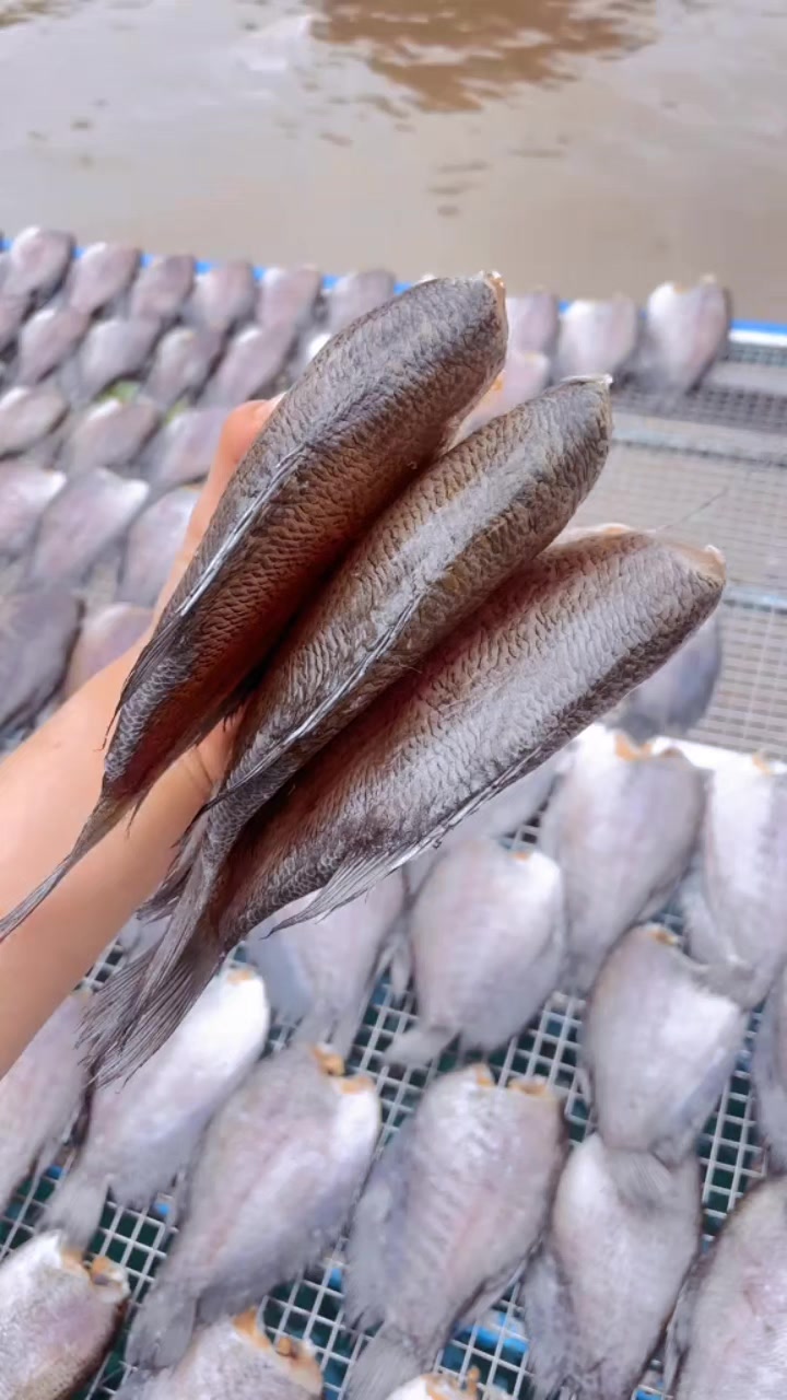 @FB:Quốc Kh&aacute;nh