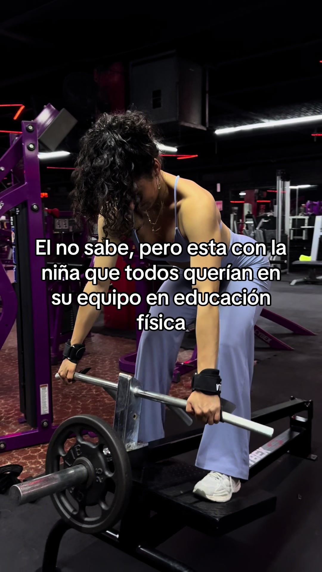 @ilseecr