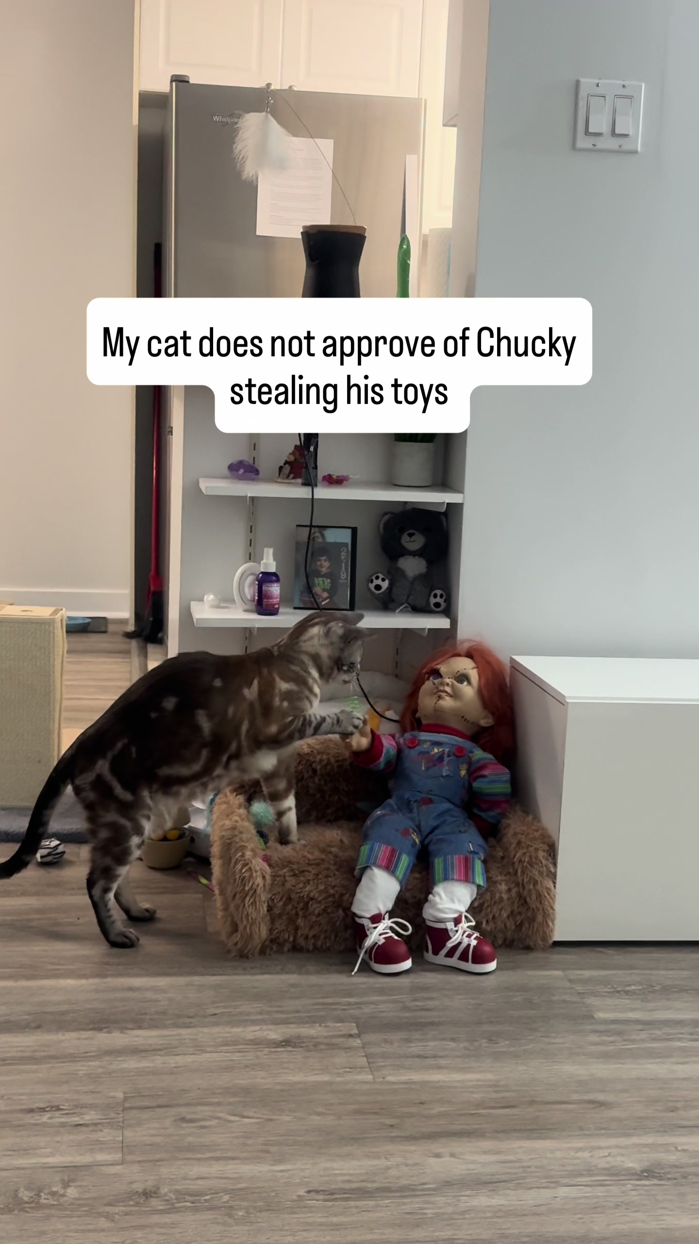@Three Nawty Cats