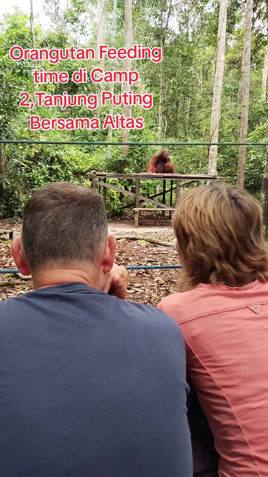 @Orangutan Adventure