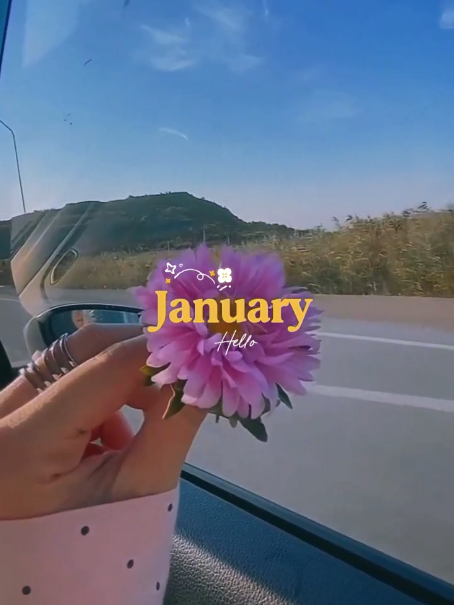 @templates ♡︎°˖➴