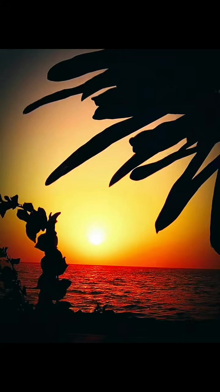 @sevgim sonsuz