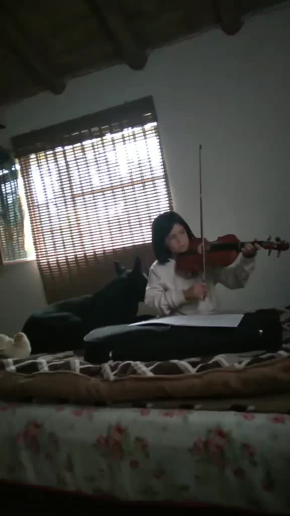 @Dyango