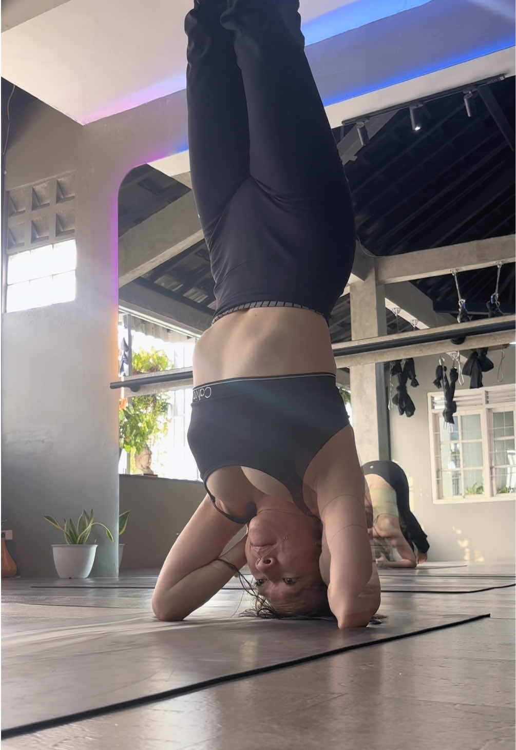 @coralinenovia
