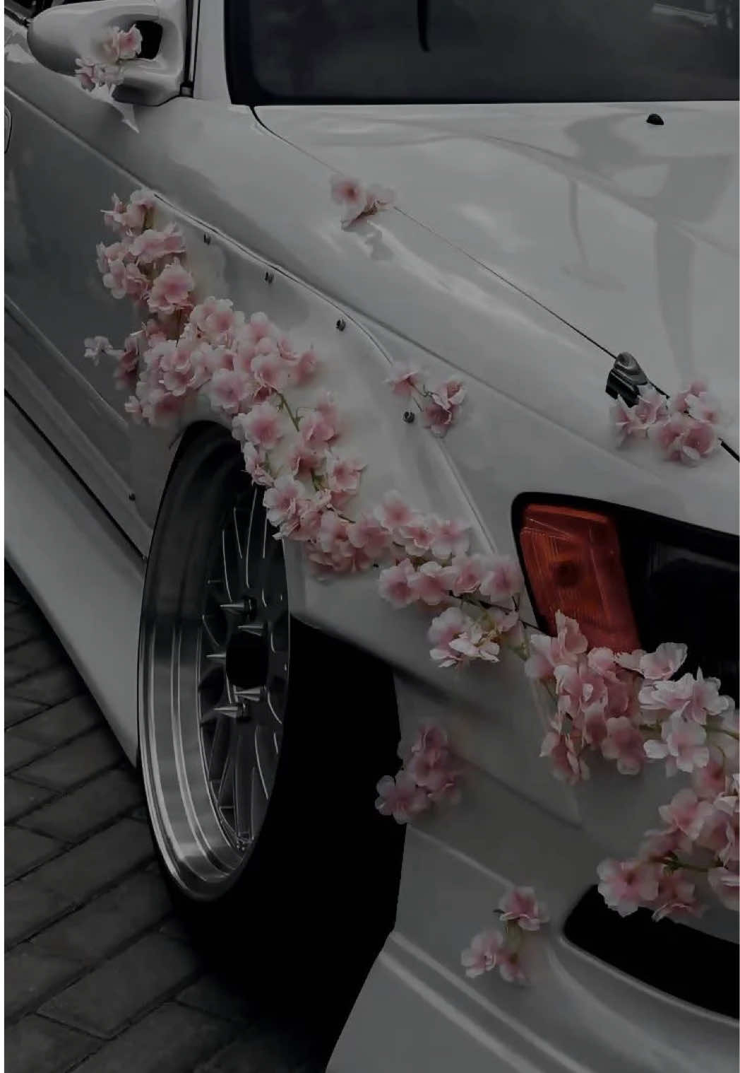 @๐๐๐๐๐๐๐๐๐๐๐๐๐