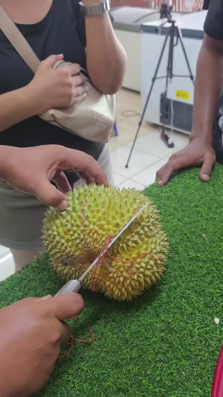 @Kenzhi Durian Tuban