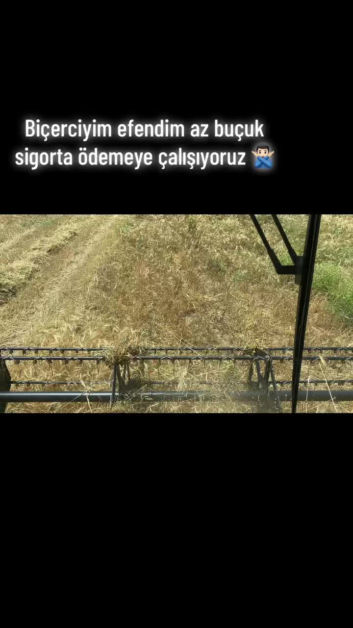 @mkilic01